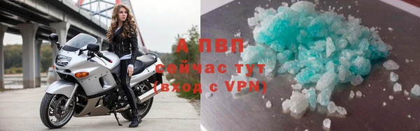 эйфоретик Покачи