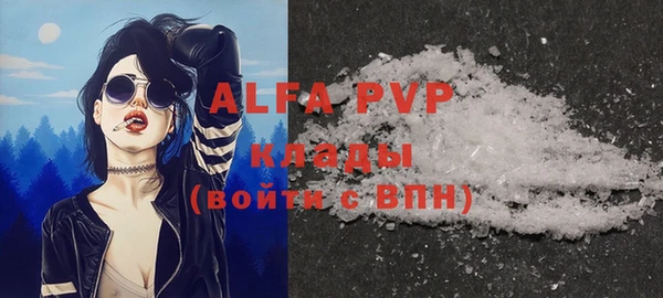 эйфоретик Покачи