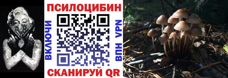 что такое наркотик  Орехово-Зуево  Галлюциногенные грибы мицелий 